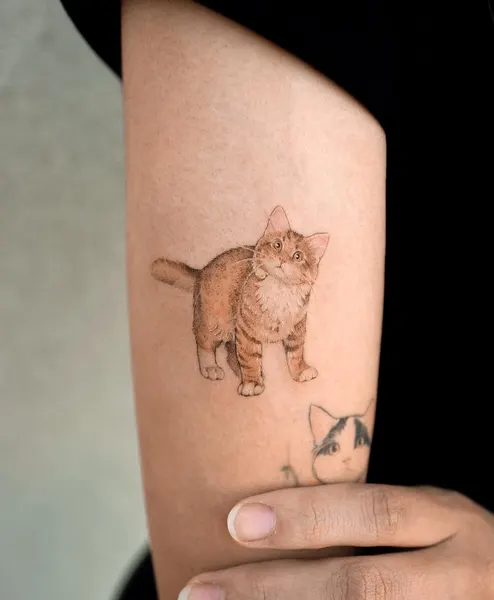 soltattoo