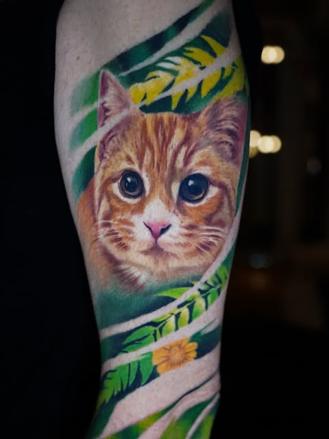 Animal