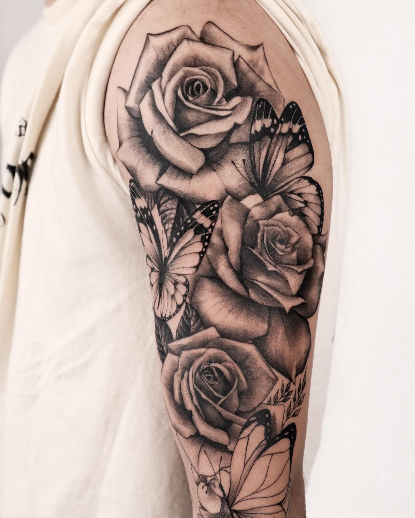 Flower, Nature, Animal
