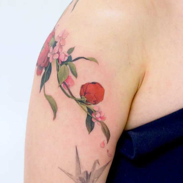 Flower, Rose, Nature