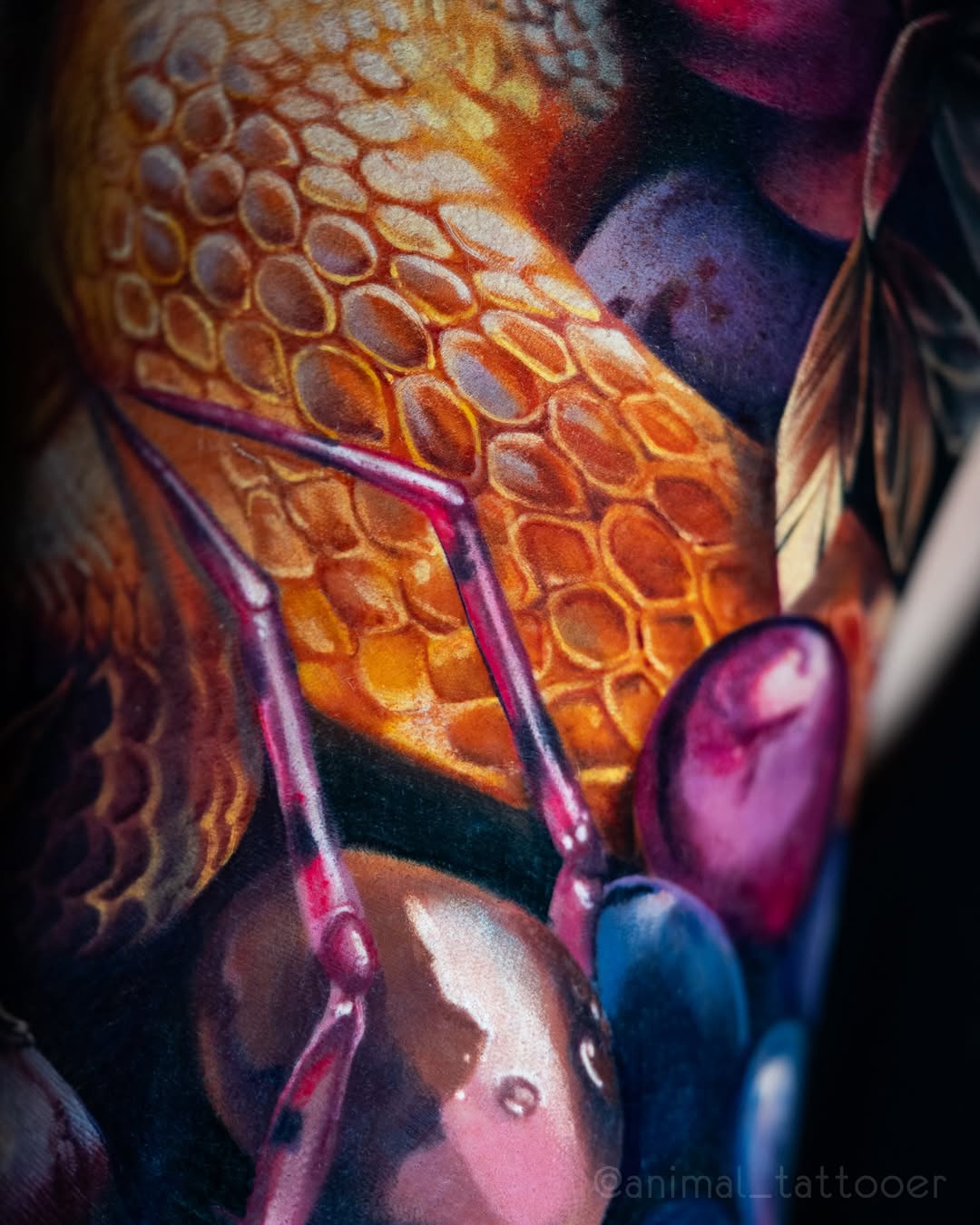 animal_tattooer