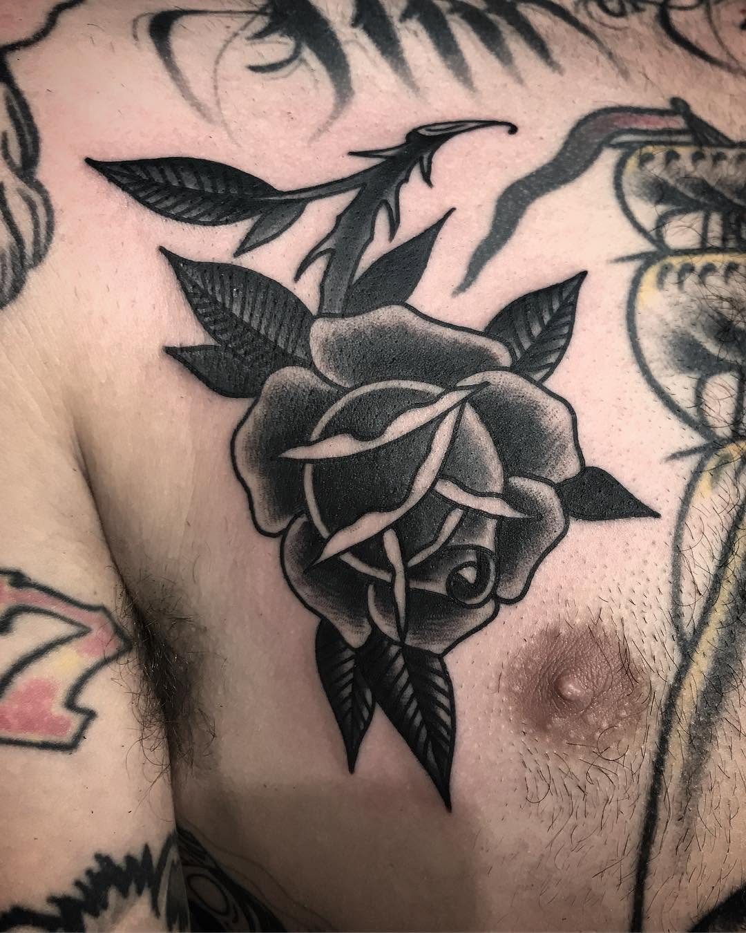 Flower, Rose, Nature