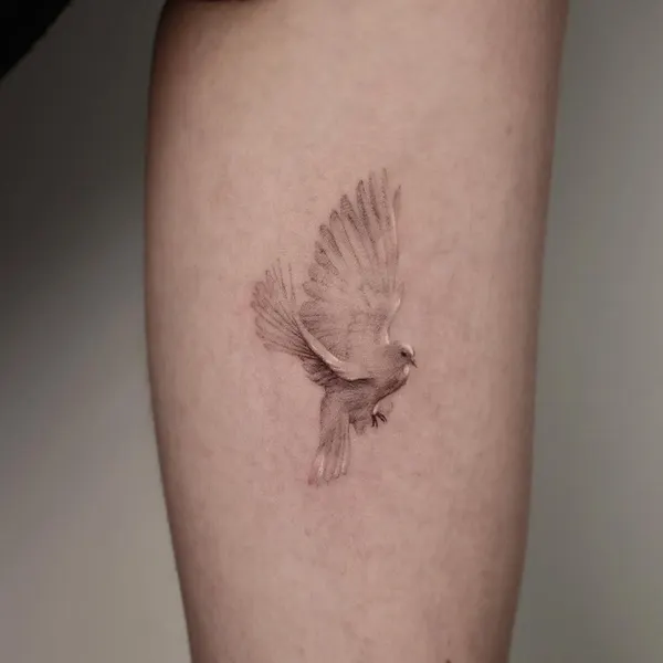 40.tatt