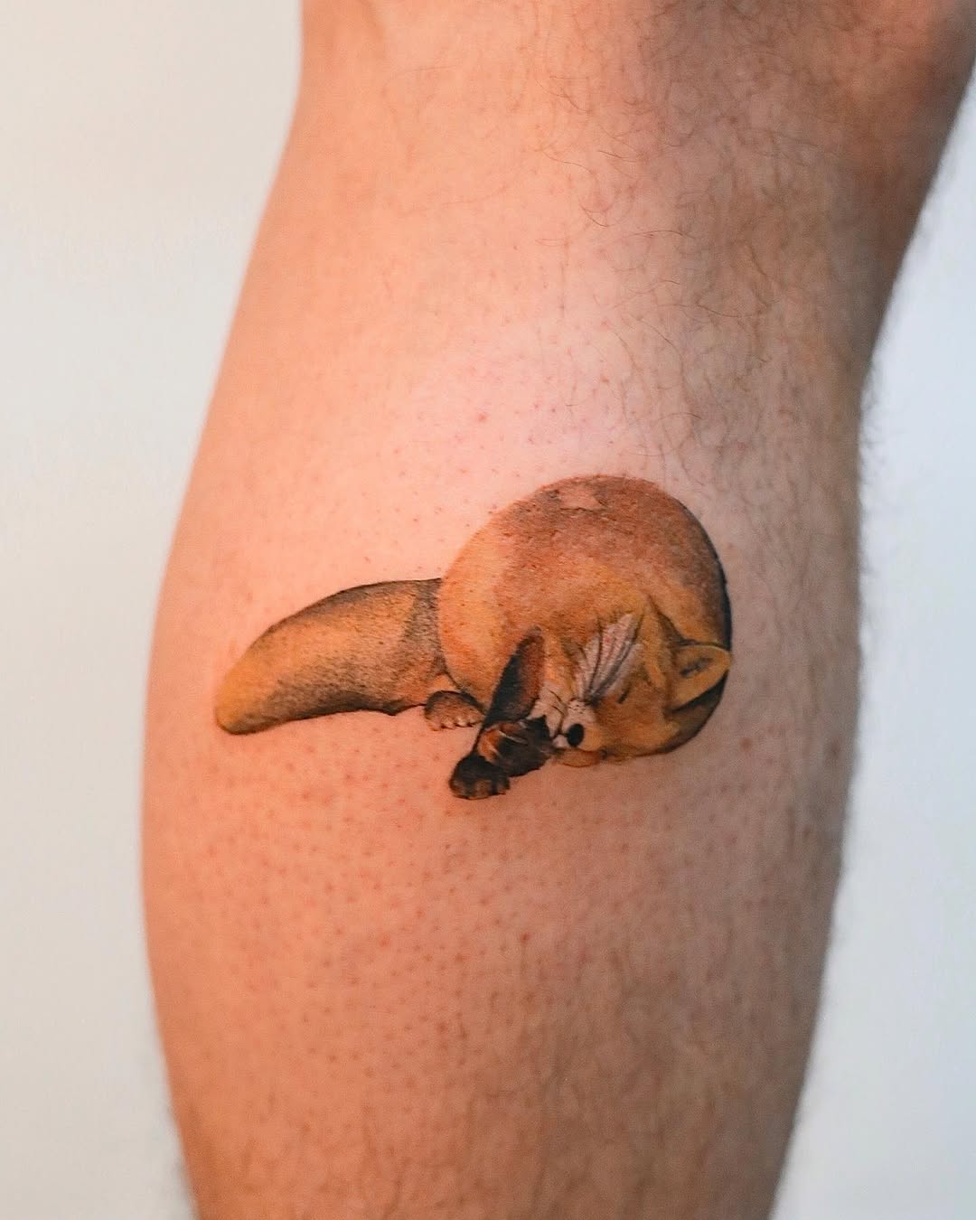 Animal