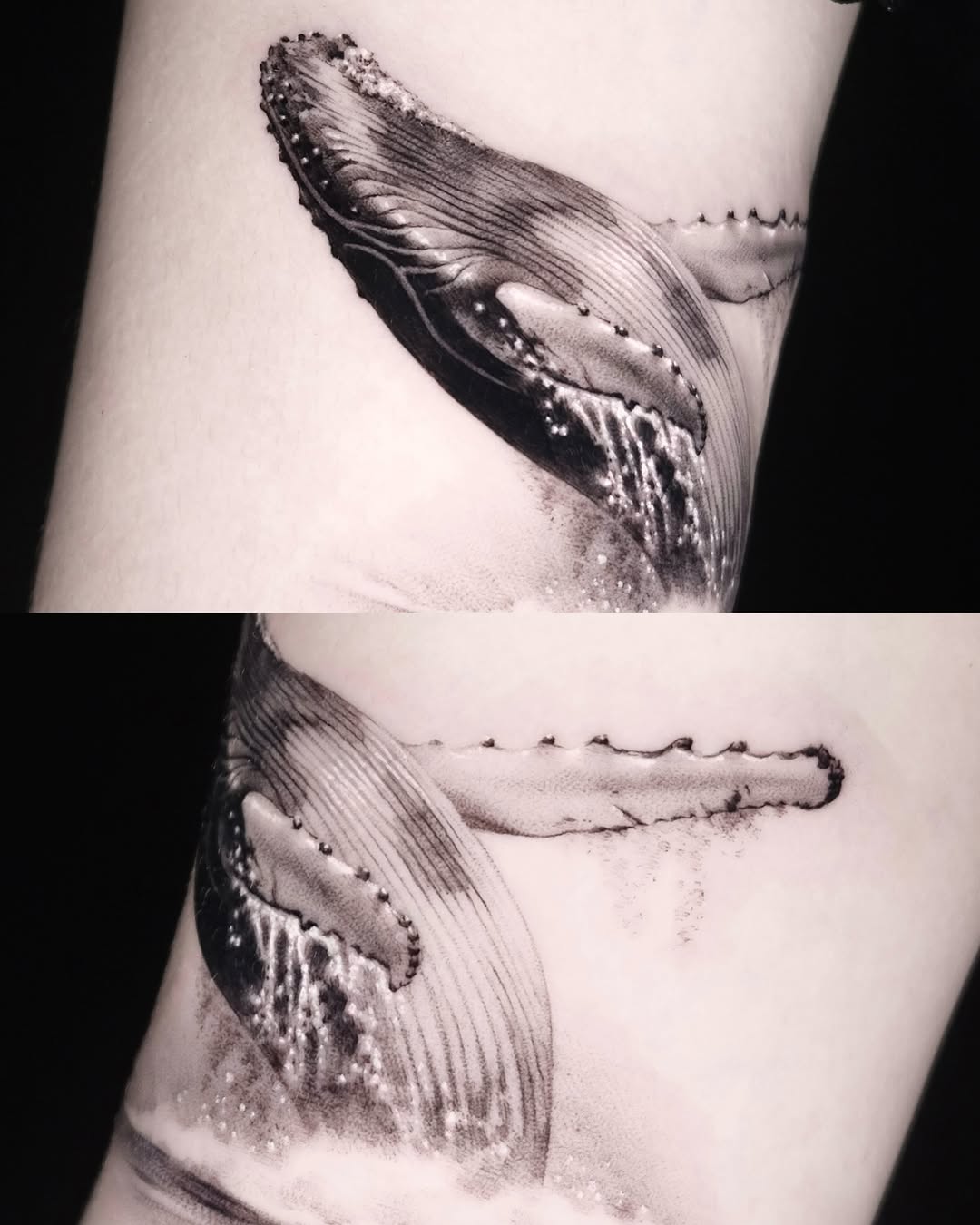 40.tatt