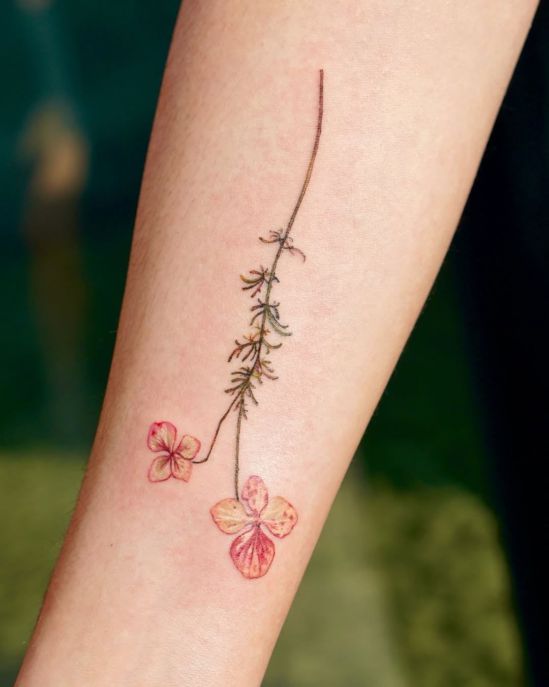 Flower