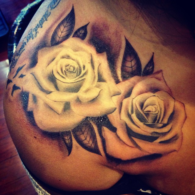 Flower, Rose, Nature