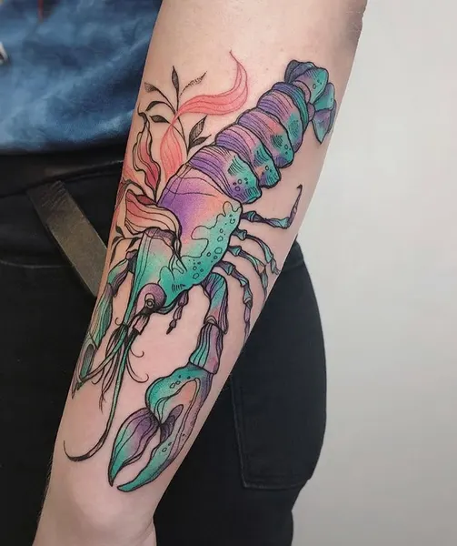 equilattera