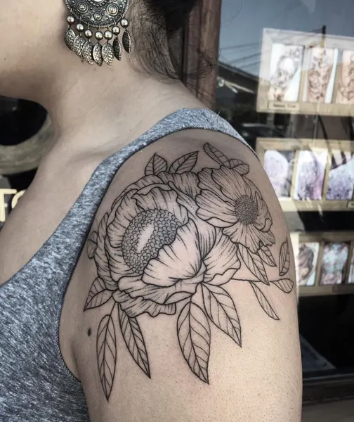 Flower, Rose, Nature