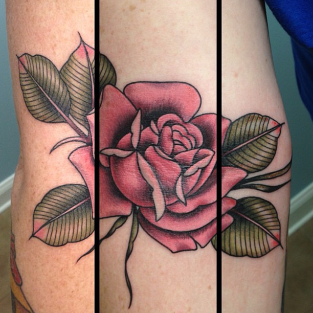 Flower, Rose