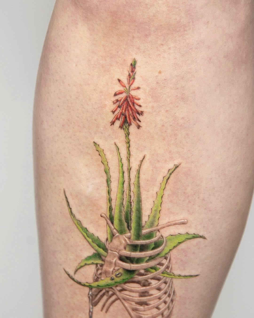 Flower