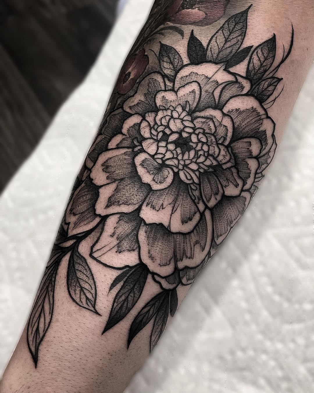 Flower, Rose
