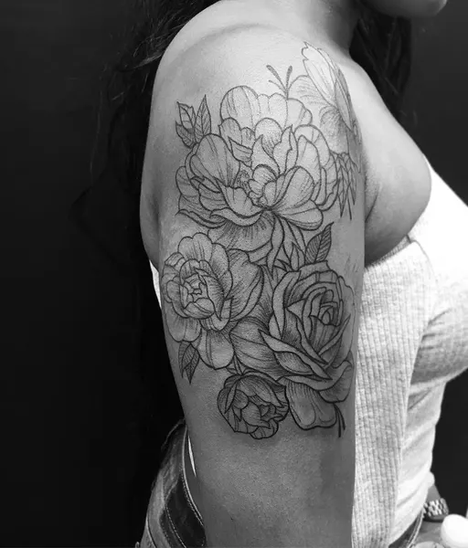Flower, Rose, Nature