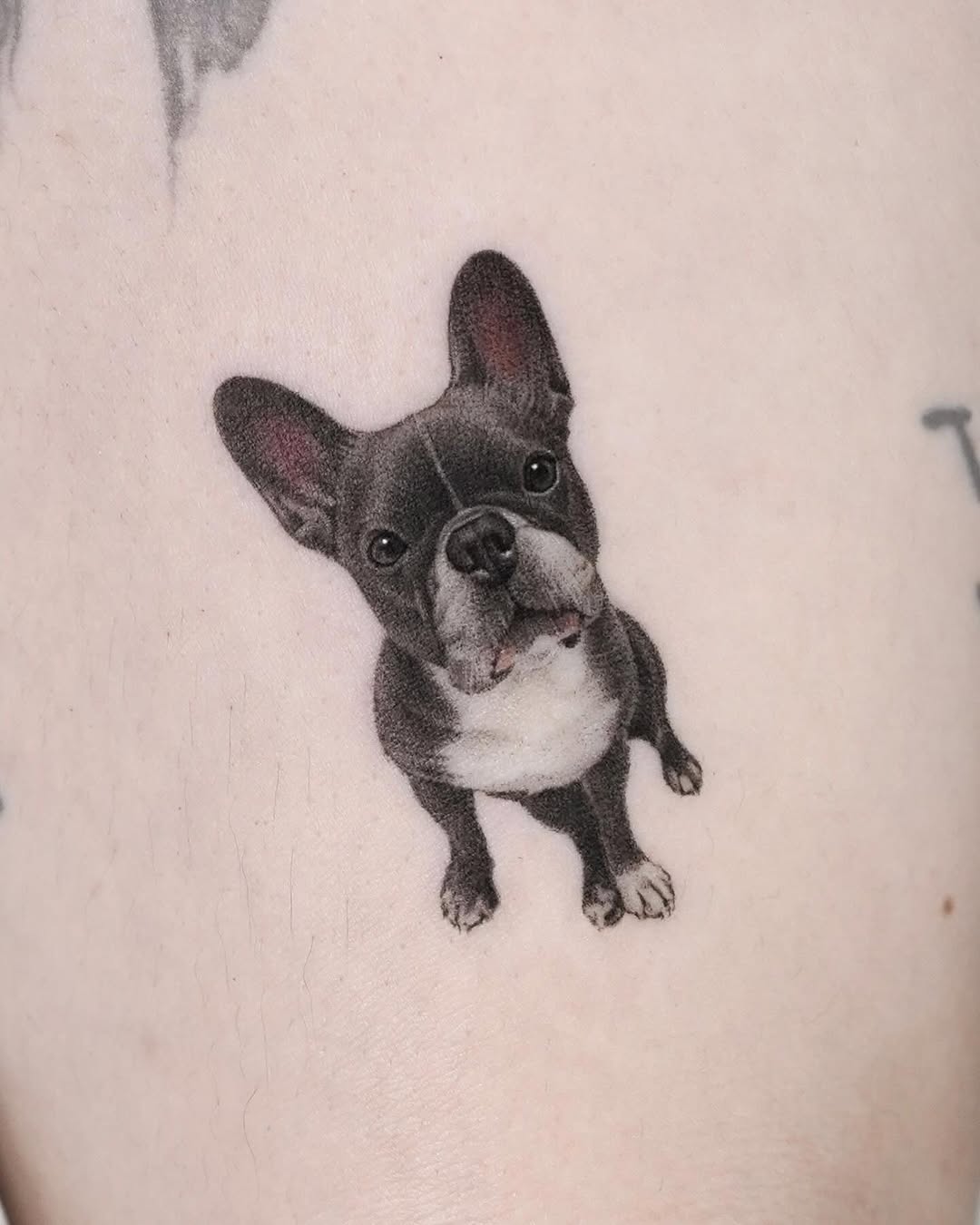 dorok.tattoo