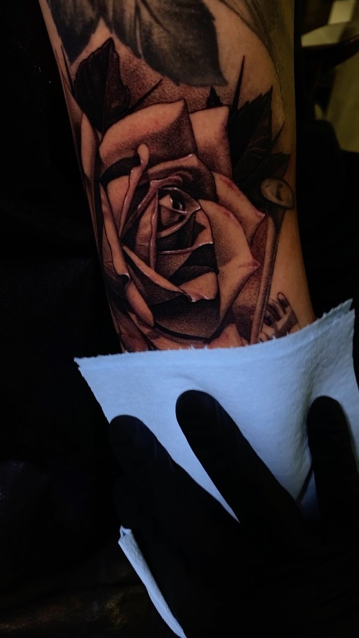 Flower, Rose