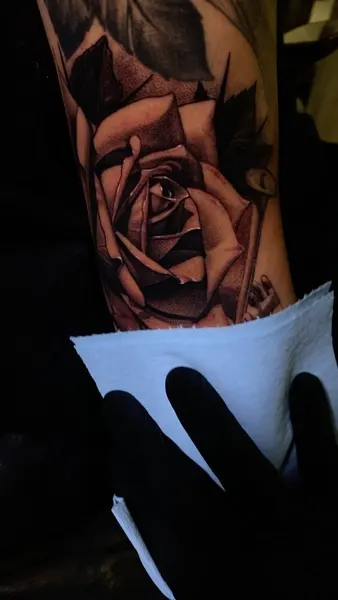 Flower, Rose