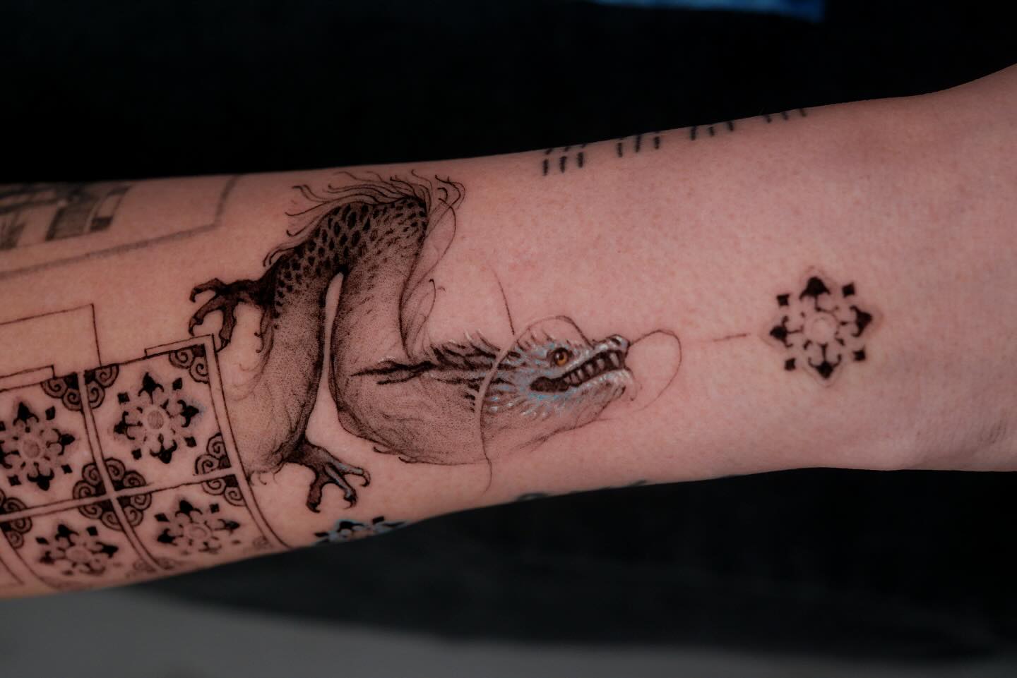 Dragon