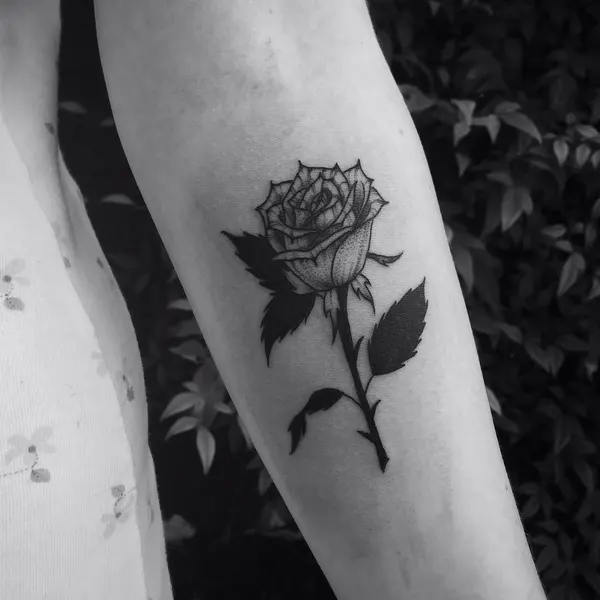 Flower, Rose