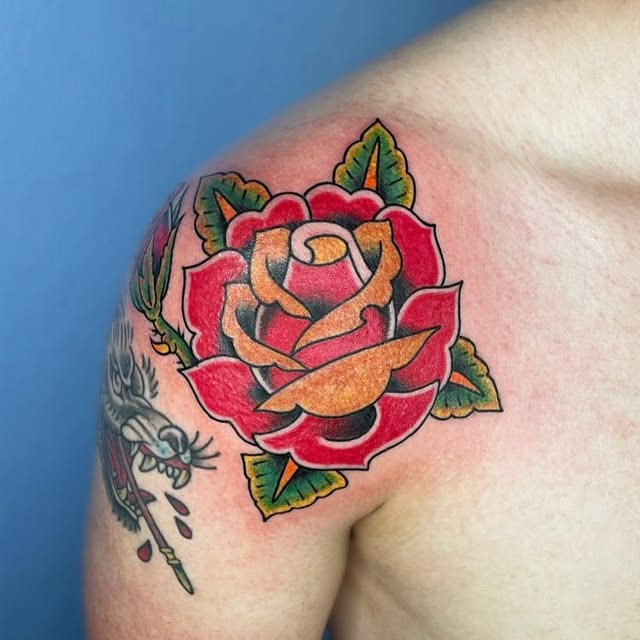 Flower, Rose, Nature