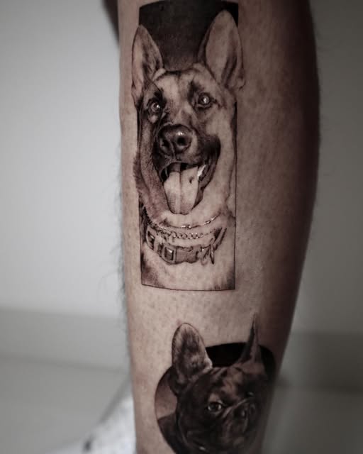 kate_sv_art