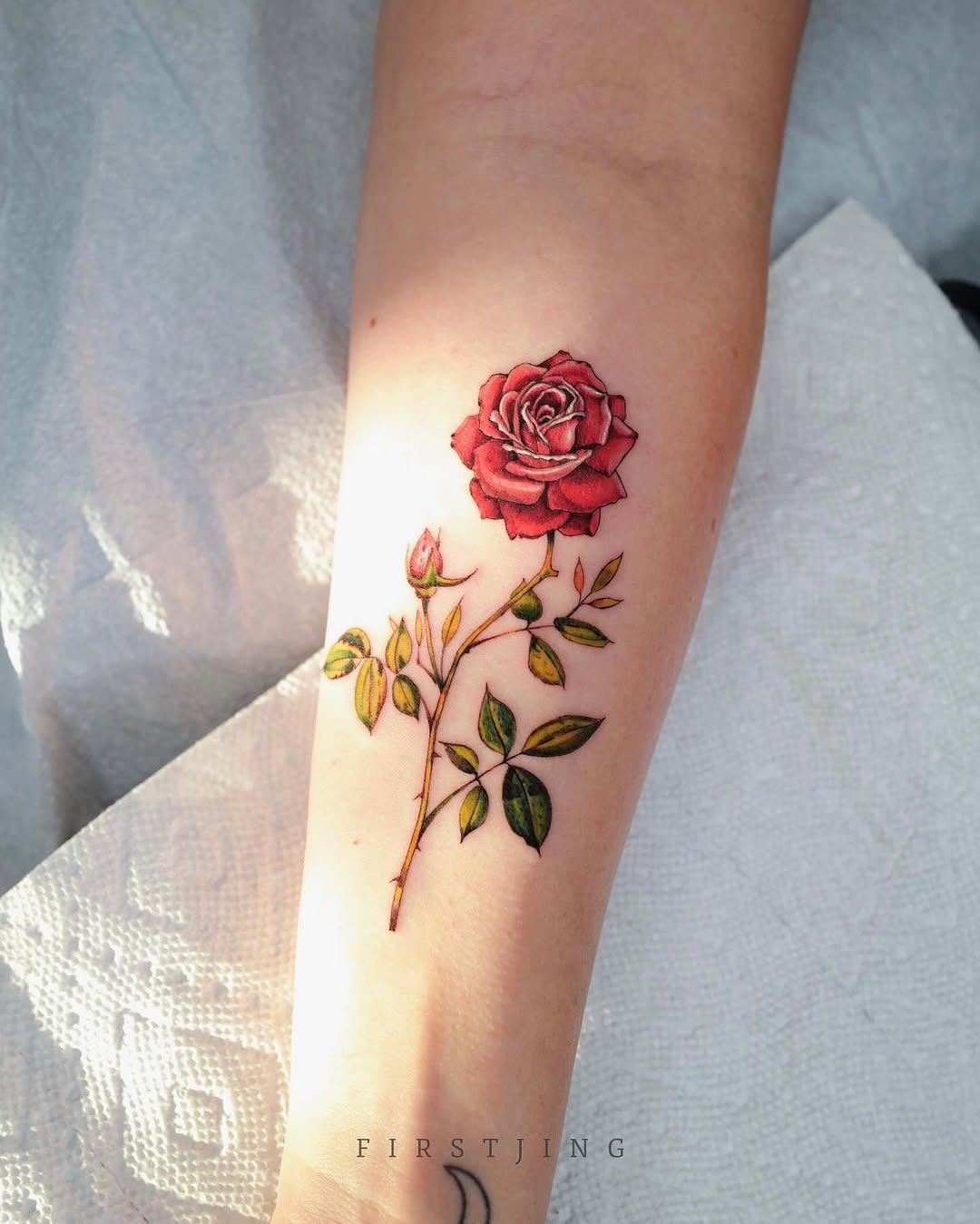 Flower, Rose