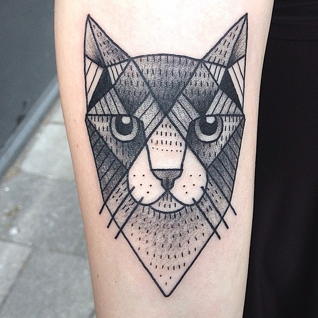 Animal, Tiger