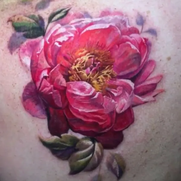 Flower, Rose