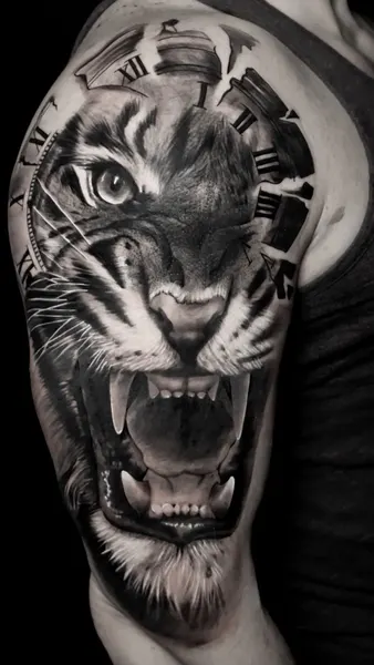 Tiger