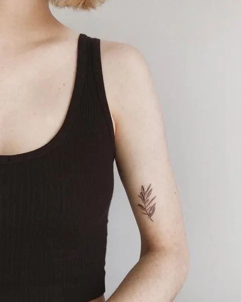 tattoovasquez
