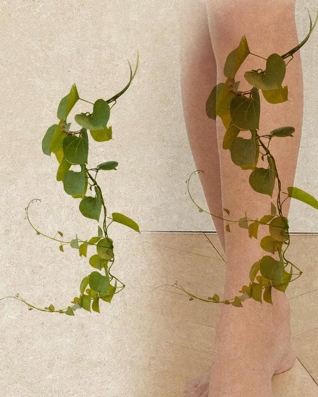song.e.tattoo