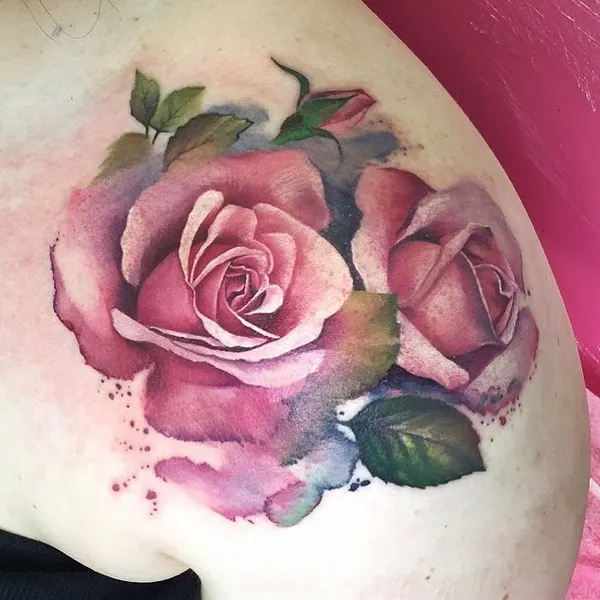 Rose, Flower