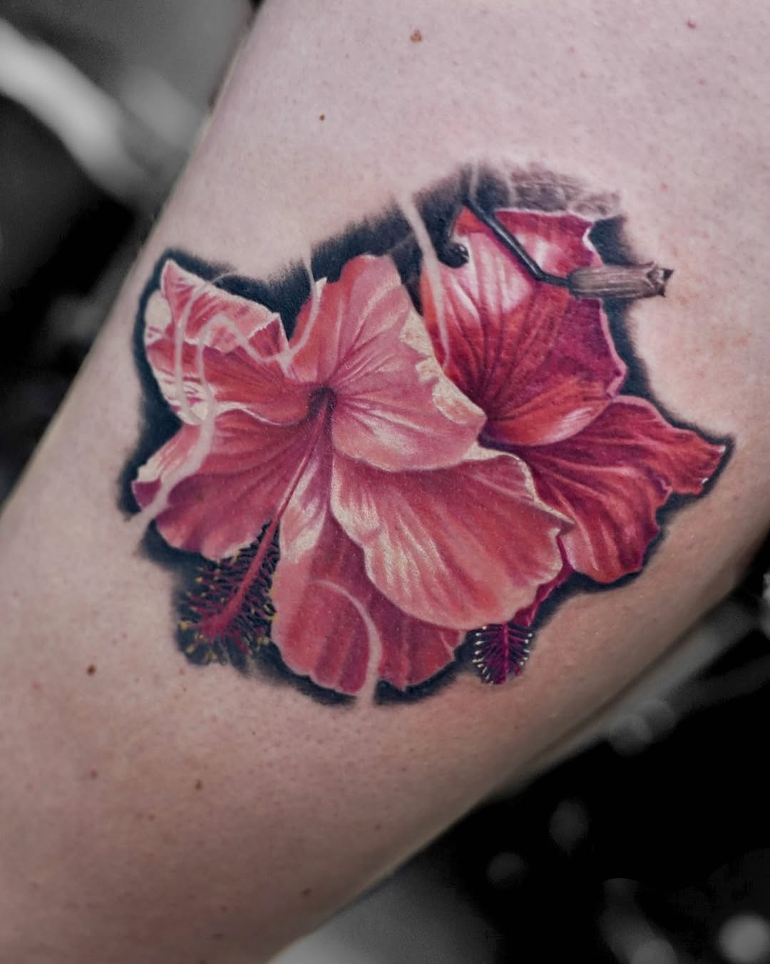 Flower, Nature