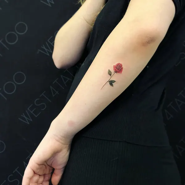 Rose, Flower