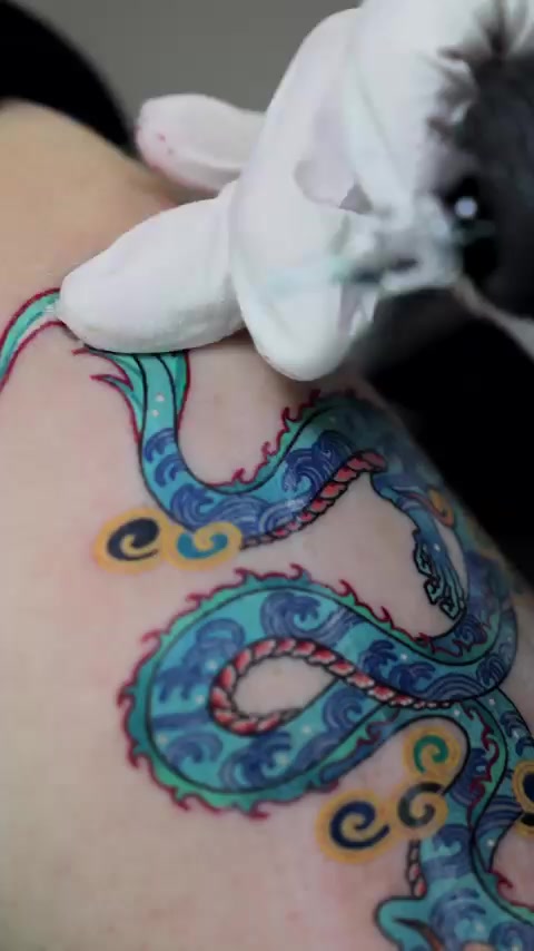 Dragon