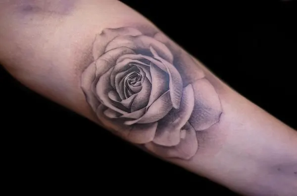 Flower, Rose