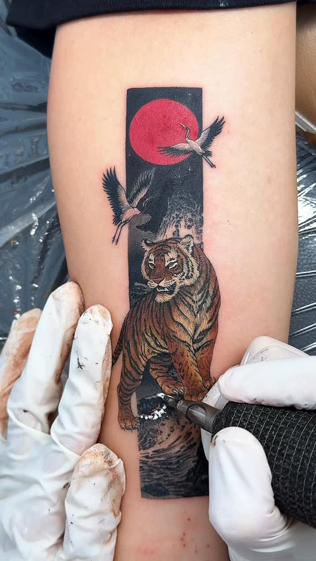 Tiger, Animal