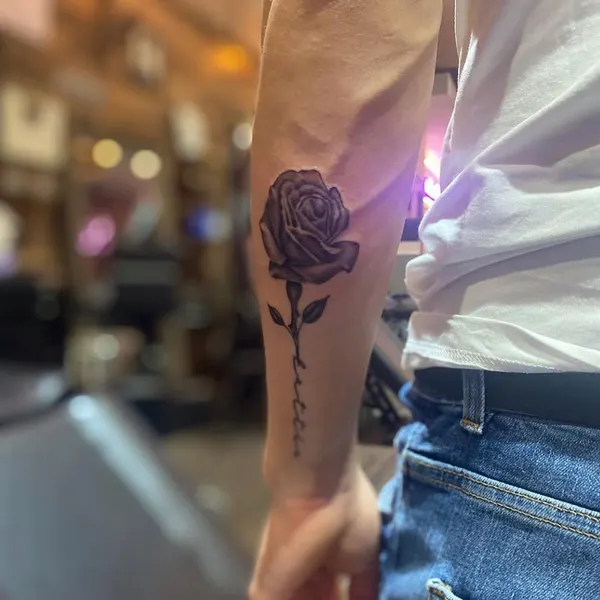 Flower, Rose