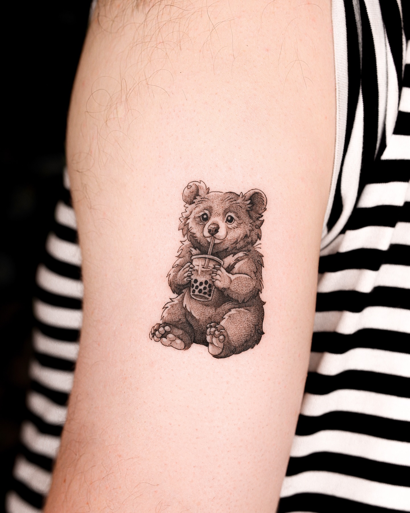 Animal, 곰