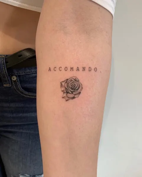 Flower, Rose