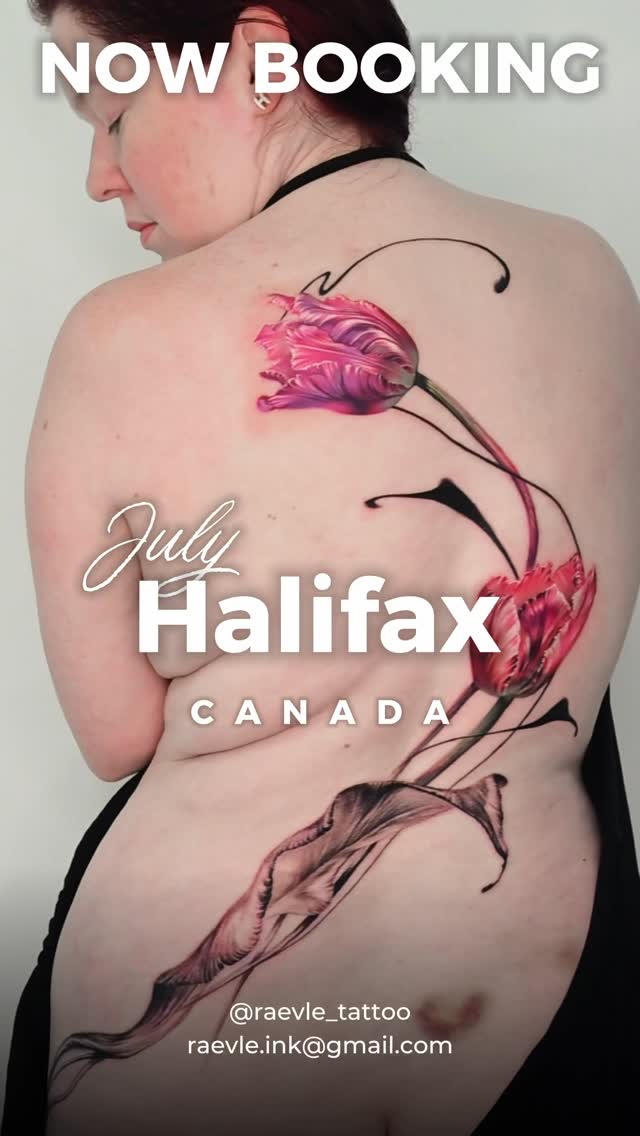 Flower, Nature, Rose