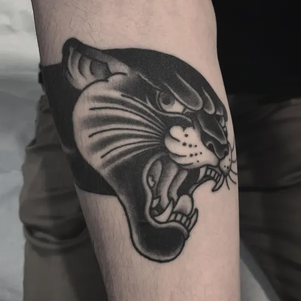 Animal, Tiger