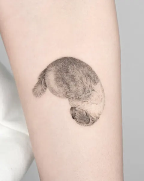펭귄, 너구리, 다람쥐, 코알라, 고슴도치, 나무늘보, Animal, 판다