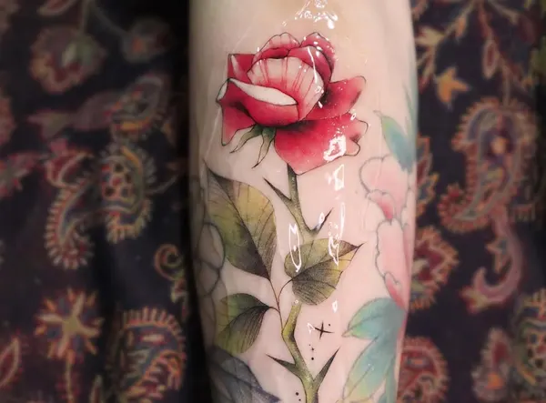Flower, Rose