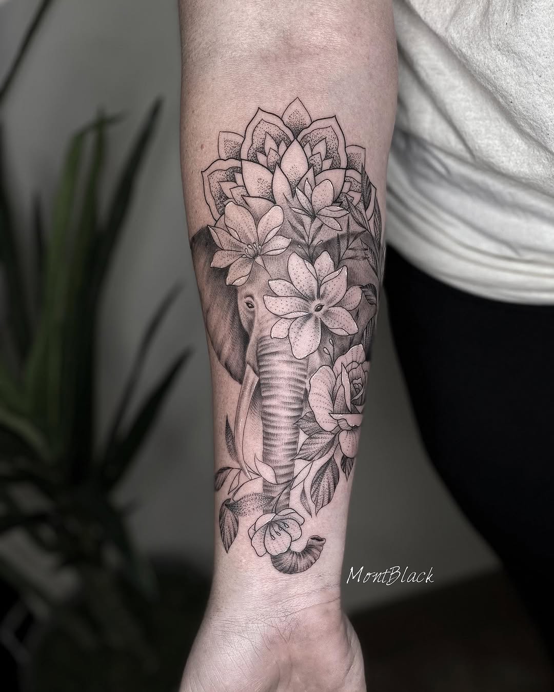 Flower