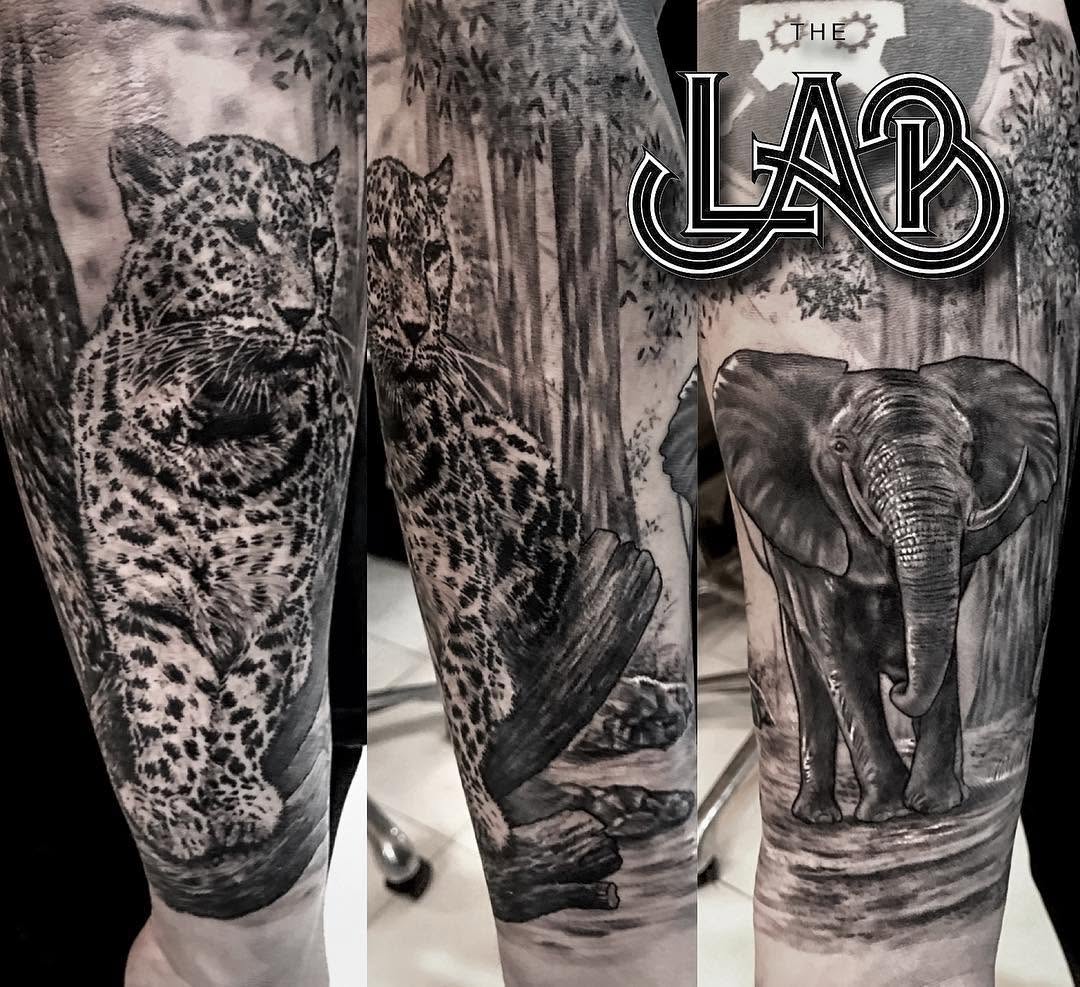 Tiger