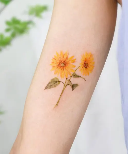 Flower, 등불, 촛불