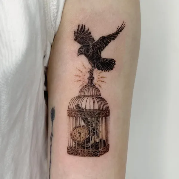 Animal, Nature