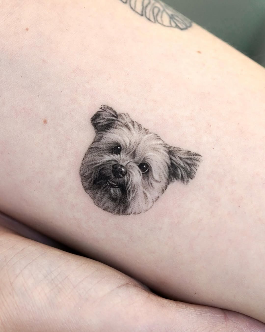 dorok.tattoo