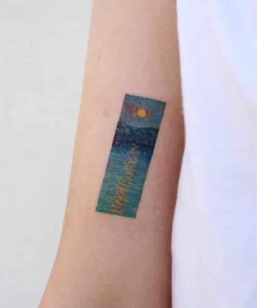 바다거북, 거북이