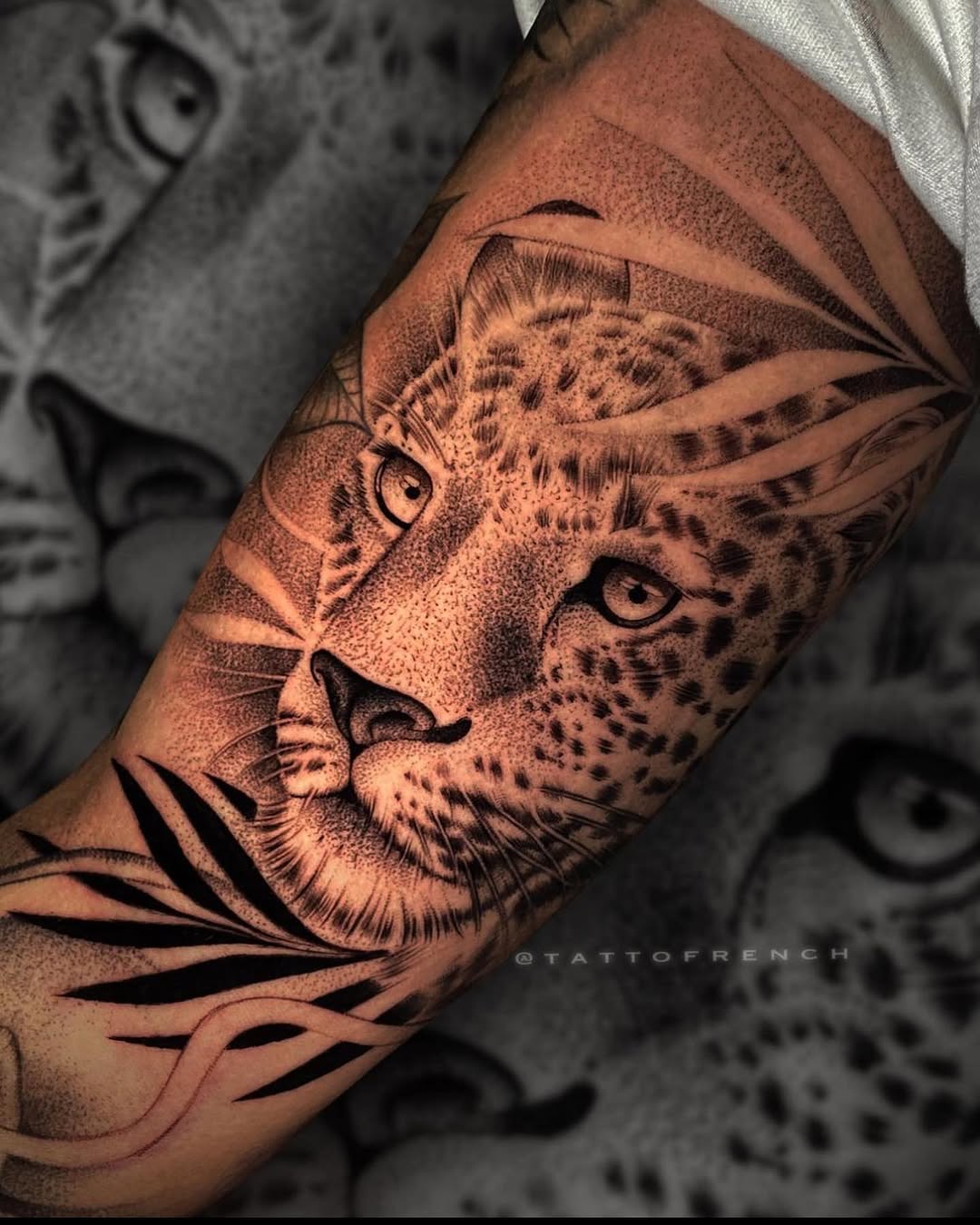 Animal